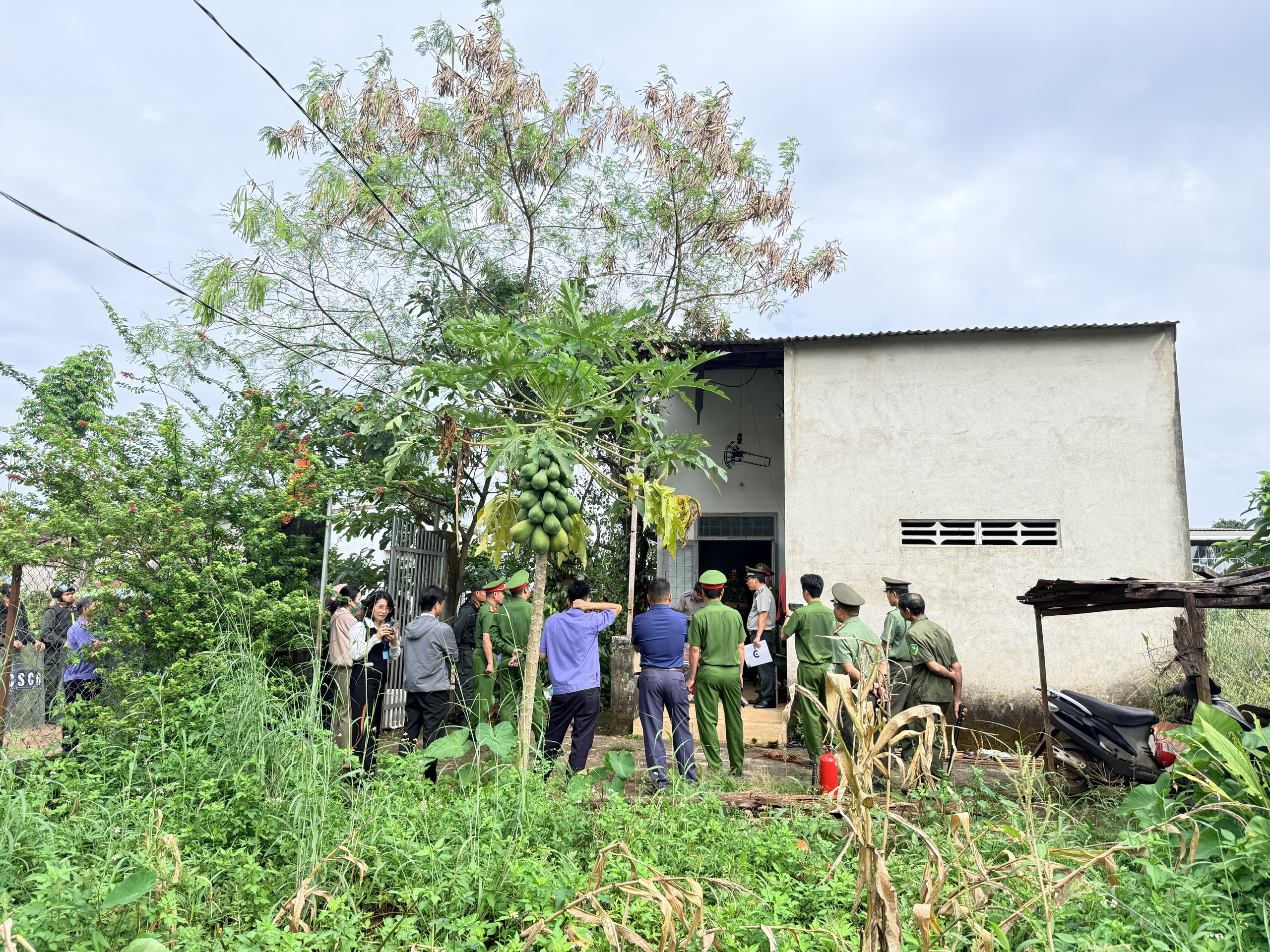 Quang cảnh buổi cưỡng chế